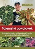 Kniha: Tajemství pokojovek (Matěj Hradský). Dona, 2025