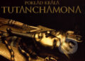 Poklad kráľa Tutanchamona - Jaromír Málek, Computer Press, 2006