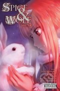 Spice and Wolf (Volume 14) - Isuna Hasekura, Keito Koume (ilustrácie), Yen Press, 2017