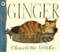 Kniha: Ginger (Charlotte Voake). Warner Books