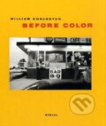 Kniha: Before Color (Chris Burnside). Slovart
