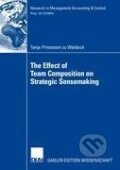 Kniha: The Effect of Team Composition on Strategic Sensemaking (Tanja Waldeck)