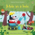 Kniha: Mole in a Hole (Lesley Sims). Usborne, 2016
