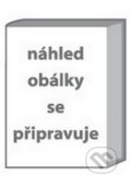 Kniha: SPIN! Level D Teachers Guide (autorů kolektiv). Pearson, 2003