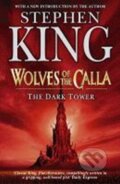 Kniha: Dark Tower 5: Wolves of Calla (Stephen King). 
