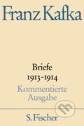 Kniha: Briefe 1913-1914 (Franz Kafka). S. Fischer, 2001
