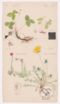 Kniha: Hilma af Klint (Jodi (Ed) Hauptman). The Museum of Modern Art, 2025
