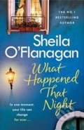 What Happened That Night - Sheila O&#039;Flanagan, Headline Book, 2018