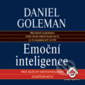 Audiokniha: Emoční inteligence (Daniel Goleman)