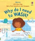 Kniha: Very First Questions & Answers: Why do I need to wash? (Rose Hall)
