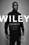 Kniha: Eskiboy (Wiley). Cornerstone, 2017