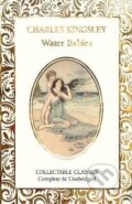 Kniha: The Water-Babies (Charles Kingsley). Flame Tree Publishing, 2024