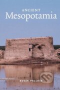 Kniha: Ancient Mesopotamia (Susan Pollock). Cambridge University Press, 2010