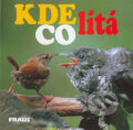 Kniha: Kde co lítá FRAUS (Fraus). Fraus