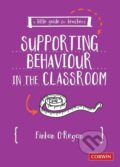 Kniha: A Little Guide for Teachers (Fintan O'Regan). Page Publishing, 2020