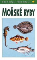 Kniha: Mořské ryby - Steinbach (F. Terofal). Ikar CZ, 1997