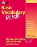Kniha: Basic Vocabulary in Use: Student´s Book with answers (Michael McCarthy). Cambridge University Press, 2001