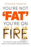 Kniha: Youre Not Fat, Youre On Fire (Stephen Perrine). Pan Macmillan, 2025
