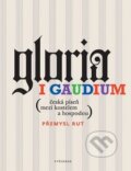 Gloria i gaudium - Přemysl Rut, Vyšehrad, 2013