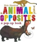 Kniha: Animal Opposites (Petr Horáček). Candlewick, 2013