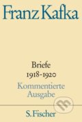 Kniha: Briefe 1918-1920 (Franz Kafka). S. Fischer, 2013