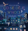 Kniha: Co se děje v noci (Emily Bone). Svojtka&Co., 2025