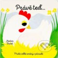 Kniha: Právě teď… (Hector Dexet). Svojtka&Co., 2025