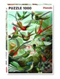 Puzzle: Haeckel: Kolibris (Piatnik). Piatnik, 2025