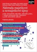Kniha: Náhrada majetkové a nemajetkové újmy podle občanského zákoníku, zákoníku práce, v oblasti průmyslového vlastnictví a podle autorského zákona (David Elischer)