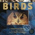 Kniha: Birds (Dan Kainen a Mara Grunbaum). Workman Publishing, 2025