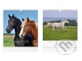 Nástěnný kalendář Horses 2026 (MFP). MFP, 2025
