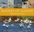 Waders of Europe - Lars Gejl, 2017