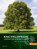 Kniha: Encyklopedie listnatých stromů a keřů (Petr Horáček). CPRESS, 2025