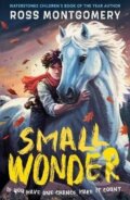 Kniha: Small Wonder (Ross Montgomery). Walker books, 2025