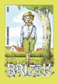 Kniha: Břízek (Helena Jandeková). Sursum, 2025
