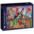 Puzzle: Puzzle Záhrada vtákov a kvetov (Aimee Stewart). Bluebird, 2025
