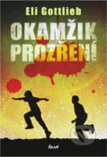 Kniha: Okamžik prozření (Eli Gottlieb). Ikar, 2009