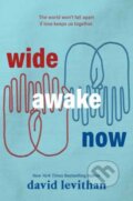 Kniha: Wide Awake Now (David Levithan). Random House, 2024