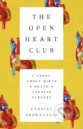 Kniha: The Open Heart Club (Gabriel Brownstein). Publicaffairs, 2024