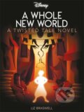 Kniha: Disney Princess Aladdin: A Whole New World (Liz Braswell). Autumn Publishing, 2023