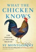 Kniha: What the Chicken Knows (Sy Montgomery). Atria Books, 2024