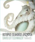 Kniha: Octopus, Seahorse, Jellyfish (David Littschwager). National Geographic Society, 2022