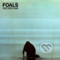 Hudobné CD: Foals: What Went Down (140Gr.) LP (Warner Music). Warner Music, 2025