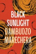 Kniha: Black Sunlight (Dambudzo Marechera). Apollo, 2024