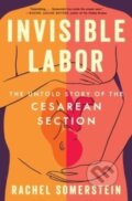 Kniha: Invisible Labor (Somerstein Rachel). Ecco, 2025
