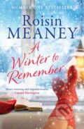 Kniha: A Winter to Remember (Roisin Meaney). , 2023