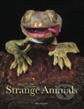 Kniha: Strange Animals (Tom Jackson). , 2023