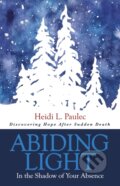 Kniha: Abiding Light (Heidi L. Paulec). Morgan James Publishing, 2021