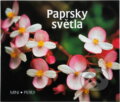 Kniha: Paprsky světla (Karmelitánské nakladatelství). Karmelitánské nakladatelství, 1999
