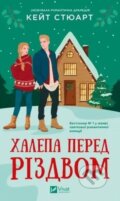 Kniha: Neschaslyvyi vypadok pered Rizdvom (Kate Stewart). Vivat, 2025